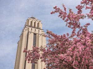 Flowers blooming outsider U de Montreal